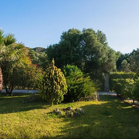 Dei Sogni Hotel Kateleios